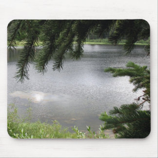 Silberner See gerahmt durch immergrüne Äste Mousepad