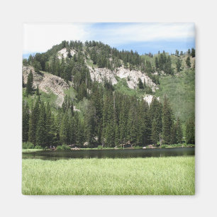 Silberner See Magnet