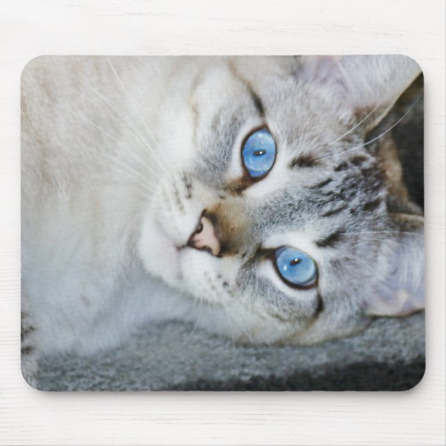 Silberner Tabby-siamesische Mausunterlage Mousepad (Vorne)
