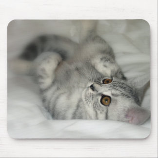 Silbernes gepunktetes Kätzchen mousepad