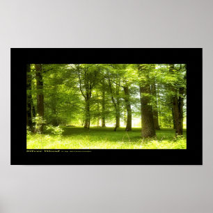 Silbernes Holz Poster