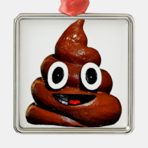 😂💩 SILBERNES ORNAMENT