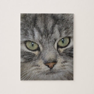 Silbernes persische Katzen-Gesichts-Puzzle