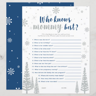 Silbernes und blaues Winter-Wunderland-Baby-Shower