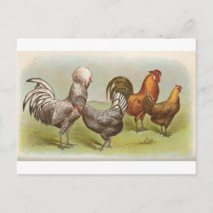 Silberpolitur Postkarte
