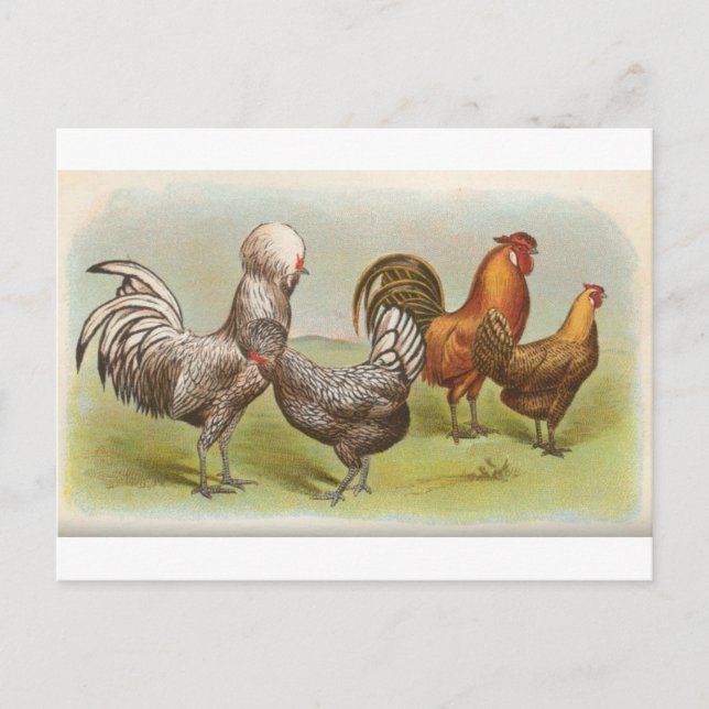 Silberpolnisch Postkarte (Vorderseite)