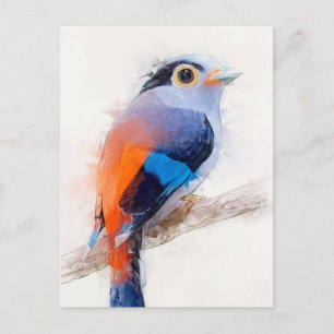 Silberreihendes Broadbill-Portrait Postkarte