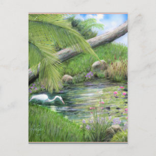 Silberreiher am Teich  Postkarte