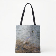 Silberreiher am Wasser - Florida Wildlife-Foto
