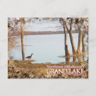 Silberreiher auf einer Postkarte vom Grand Lake Ok