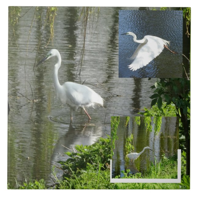 Silberreiher Collage Keramikfliese (Vorderseite)