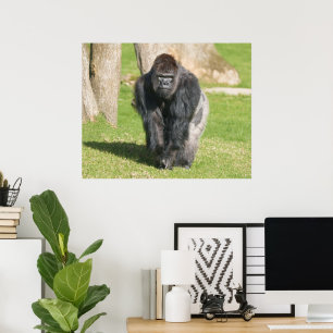 Silberrücken-Gorilla – Ein Moment der Macht Poster