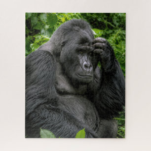 Silberrücken-Gorilla in tiefen Gedanken