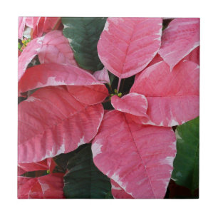 Silberstern-Marmor-Weihnachtssterne Rosa Holiday F Fliese