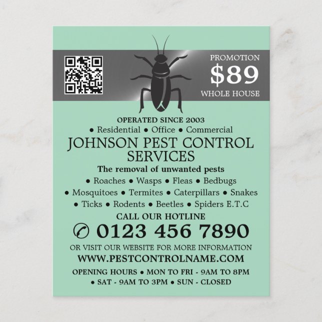 Silberstreifen - Schwarze Kakerlake - Kontrolle de Flyer (Vorne)