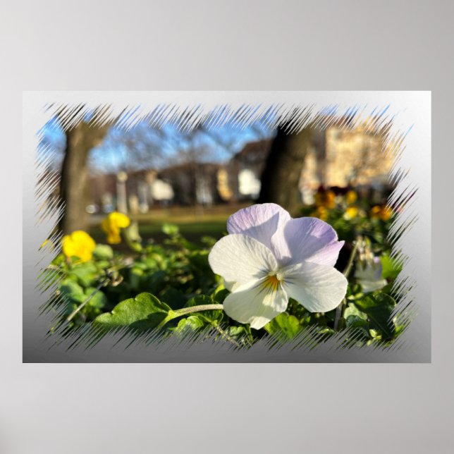 Silberweiße Panik Poster (Vorne)