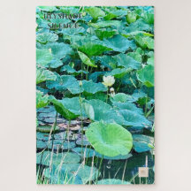 Silence de Lilyshade - Puzzles d'Embre Calme