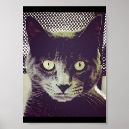 Silent Kitty Poster