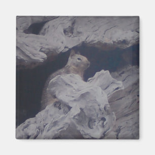 Silent Observer Magnet