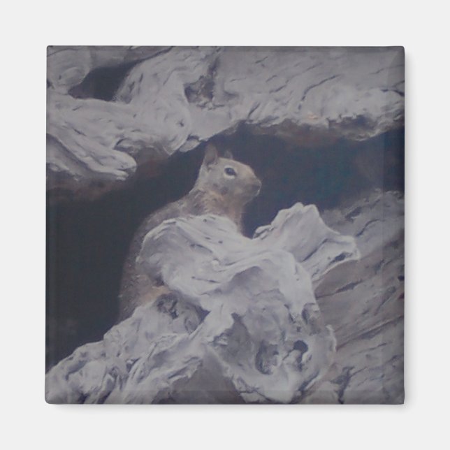 Silent Observer Magnet (Vorne)