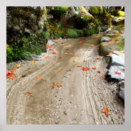 Silent Passage — Japanese Wabi-Sabi Photo Poster