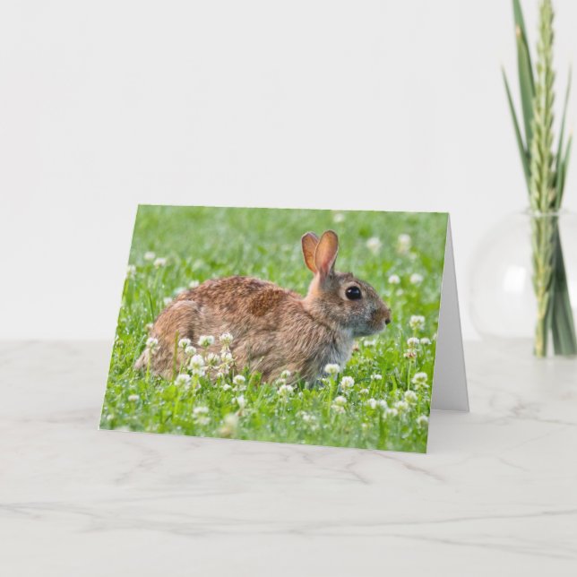 Silent se demande carte de voeux vierge Rabbit (Devant)
