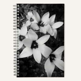 Silent Symmetry Notizbuch
