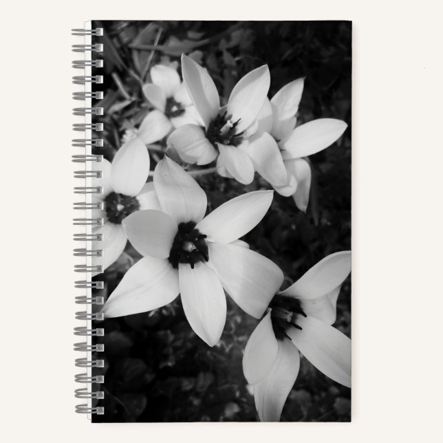 Silent Symmetry Notizbuch (Vorderseite)