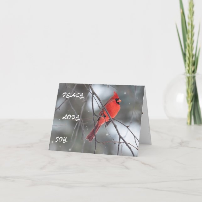 Silent Wonders Holiday Greeting Card Kardinal Dankeskarte (Vorderseite)