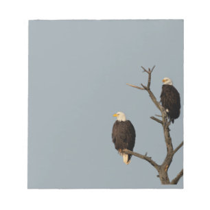 Silent Wonders Notepad Bald Eagles Notizblock