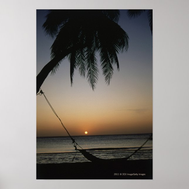 Silhierte leere Hängematte bei Sonnenuntergang Poster (Vorne)