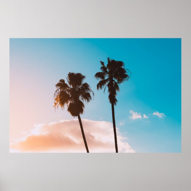 Silhoette of palm tree poster (Vorne)