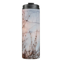 Silhouette älterer Branches