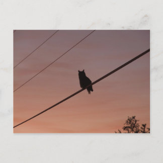 Silhouette Beauty Postkarte