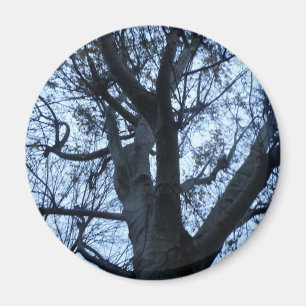 Silhouette-Bildmagazin Magnet