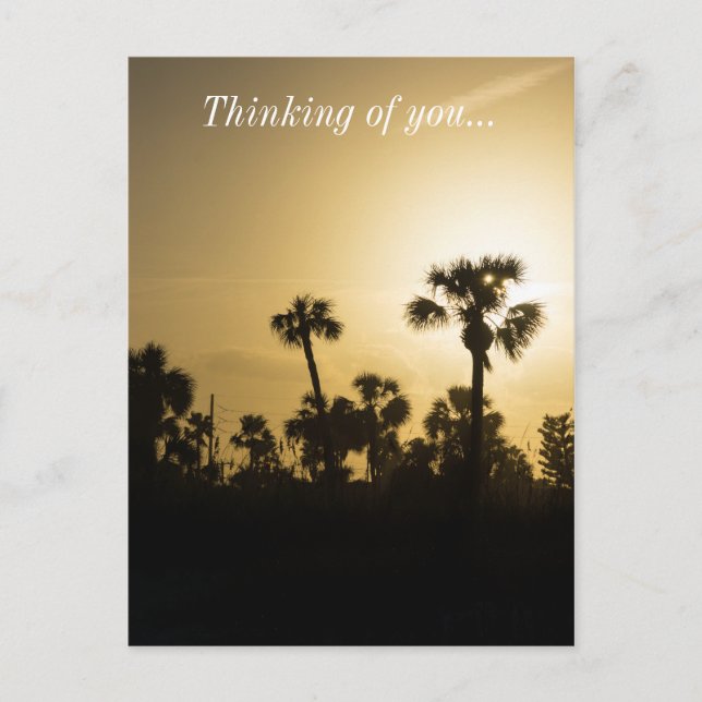 Silhouette Cocoa Palm Postkarte (Vorderseite)
