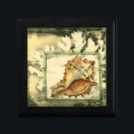 Silhouette Conch Muschel Geschenkbox<br><div class="desc">Bleibe mit diesem Stück zeitgenössischer Kunst von Jennifer Goldberger entspannt. Ihre Sammlung von Muschelkunst ist entspannend und inspirierend. Dieses Kunstwerk konzentriert sich auf eine große Muschel von Conch, umgeben von grünem Korallenriff. Holen Sie sich diese wunderschöne Meereskunst heute mit einem Silhouette-Gefühl auf Ihrem nächsten Produkt.</div>