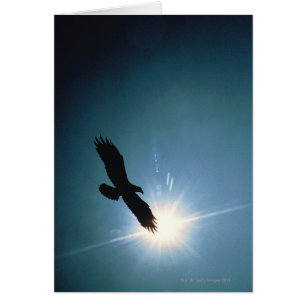 Silhouette d'aigle chauve volant dans le ciel