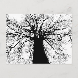 Silhouette d'arbre noir et blanc - Carte postale