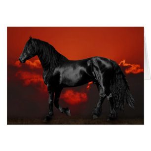 Silhouette de cheval au coucher du soleil