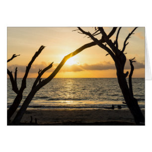 Silhouette de l'arbre de lever du soleil