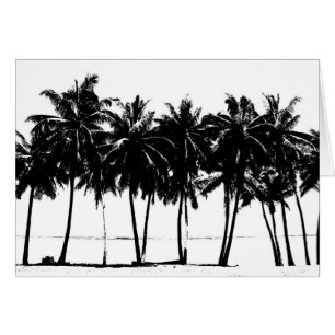 Silhouette de palmiers blancs noirs