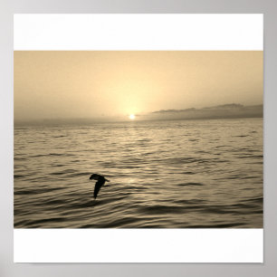 Silhouette der atemberaubenden Seegras bei Sonnenu Poster