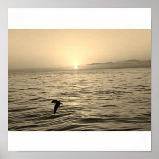 Silhouette der atemberaubenden Seegras bei Sonnenu Poster