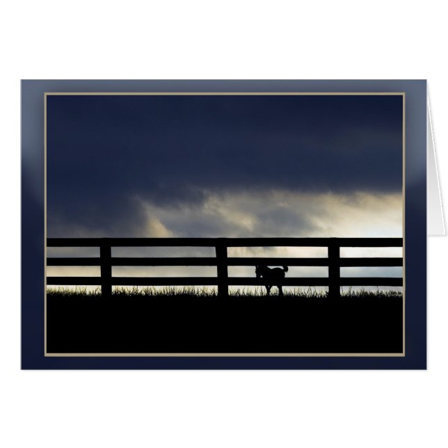 Silhouette der Hengstfarm (Vorderseite (Horizontal))