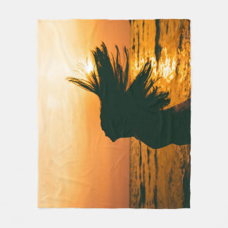 Silhouette der Mädchen, Sonnenuntergang auf dem Me Fleecedecke