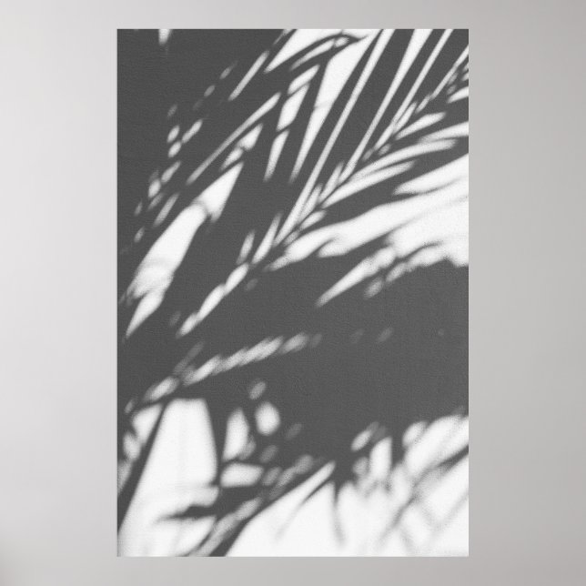 Silhouette der Palme Poster (Vorne)