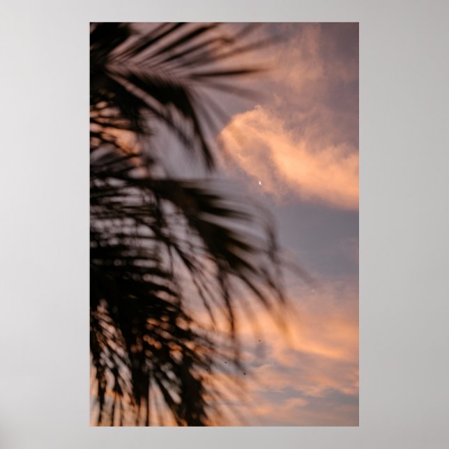Silhouette der Palme Poster (Vorne)