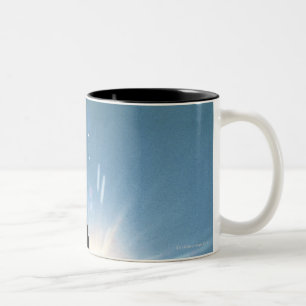 Silhouette des Fliegens des kahlen Adlers im Zweifarbige Tasse