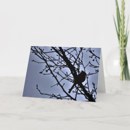 Silhouette des Kardinals, Karte